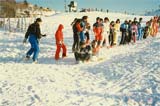 当初のオープンスキーではソリ大会が恒例でした。