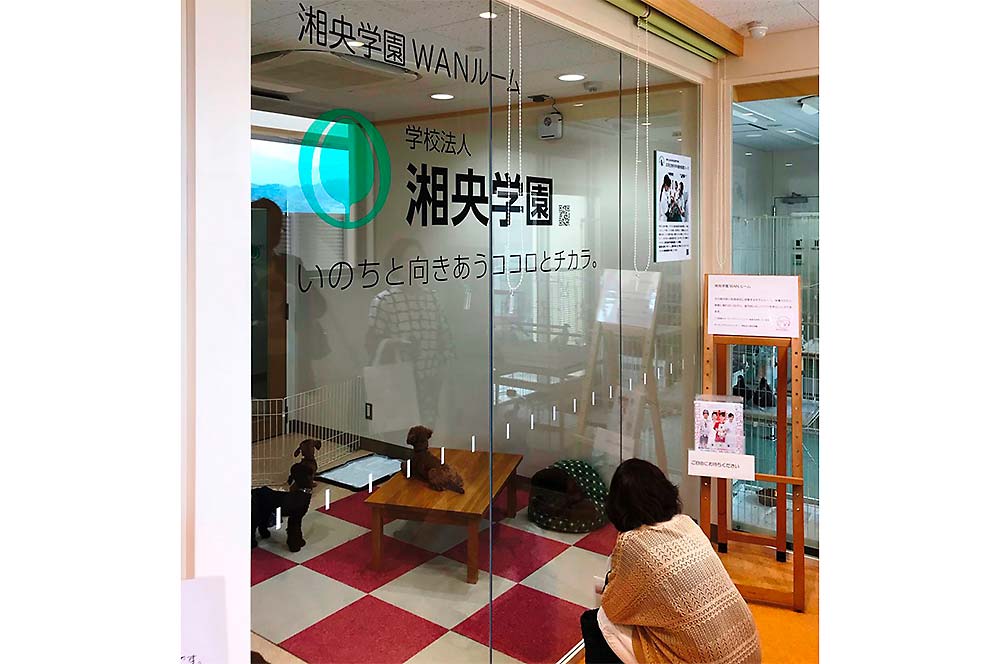 神奈川県動物愛護センター（平塚市）に「湘央学園WANルーム」がオープンしました。