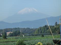 pict-suifuyoupict-suifuyouCIMG0154