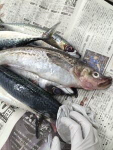 %e3%81%be%e3%82%93%e3%81%be%ef%bc%92