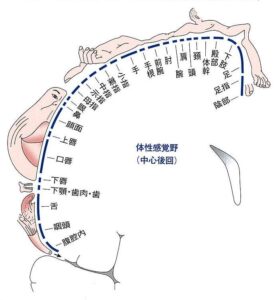 %e3%83%9a%e3%83%b3%e3%83%95%e3%82%a3%e3%83%bc%e3%83%ab%e3%83%89%e6%84%9f%e8%a6%9a%e3%81%ae%e5%b0%8f%e4%ba%ba