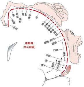 %e3%83%9a%e3%83%b3%e3%83%95%e3%82%a3%e3%83%bc%e3%83%ab%e3%83%89%e9%81%8b%e5%8b%95%e3%81%ae%e3%81%93%e3%81%b3%e3%81%a8