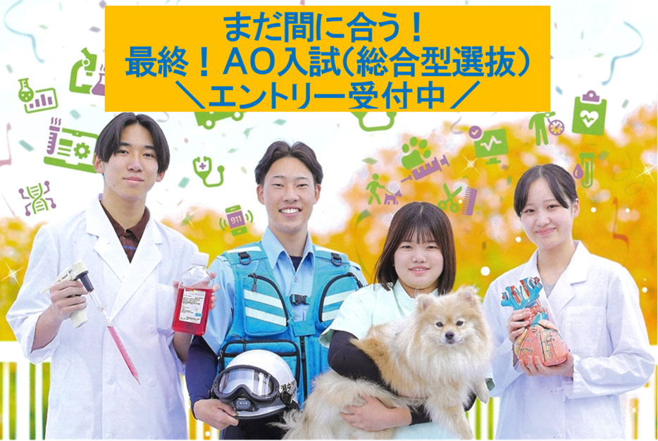 まだ間に合う！AO入試（総合型選抜）のエントリー受付中