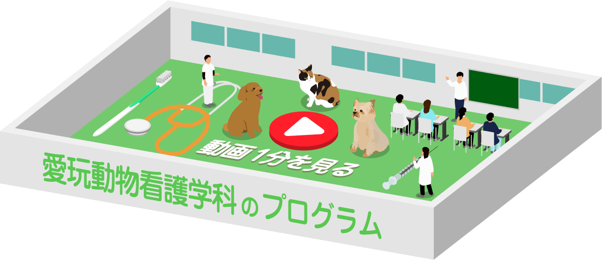 愛玩動物看護学科のプログラム